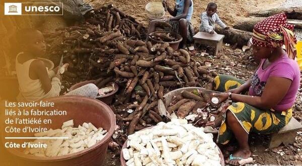 miniature manioc